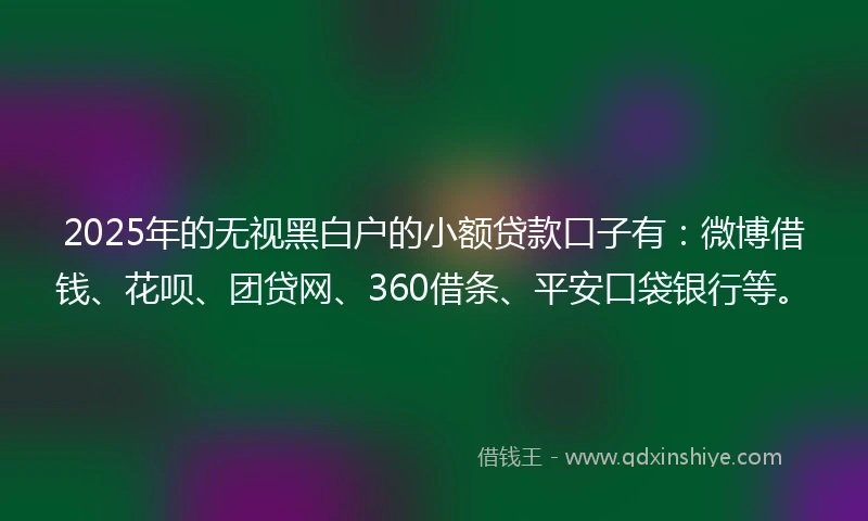 2025年的无视黑白户的小额贷款口子有：微博借钱、花呗、团贷网、360借条、平安口袋银行等。