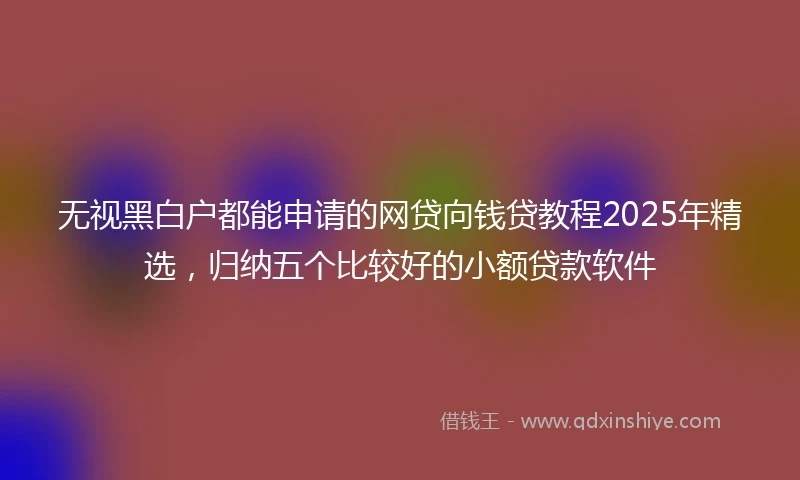 无视黑白户都能申请的网贷向钱贷教程2025年精选，归纳五个比较好的小额贷款软件