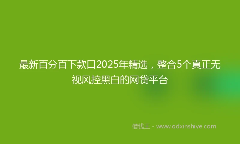 最新百分百下款口2025年精选，整合5个真正无视风控黑白的网贷平台