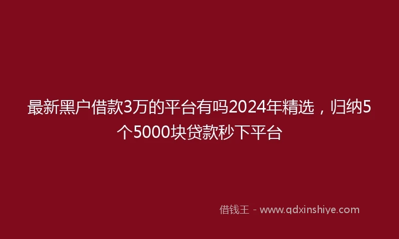 最新黑户借款3万的平台有吗2024年精选，归纳5个5000块贷款秒下平台