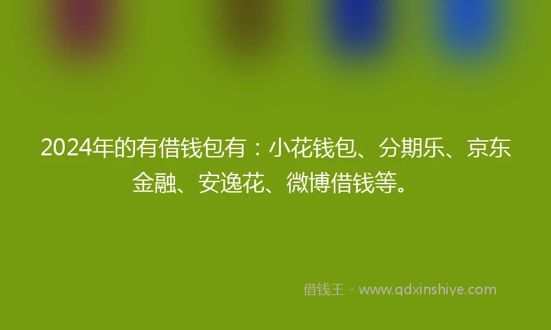 2024年的有借钱包有：小花钱包、分期乐、京东金融、安逸花、微博借钱等。