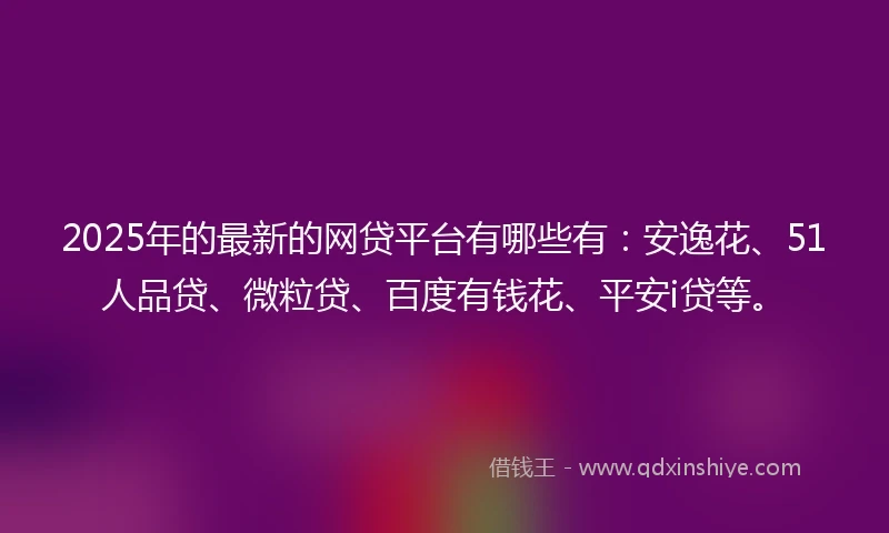 2025年的最新的网贷平台有哪些有：安逸花、51人品贷、微粒贷、百度有钱花、平安i贷等。