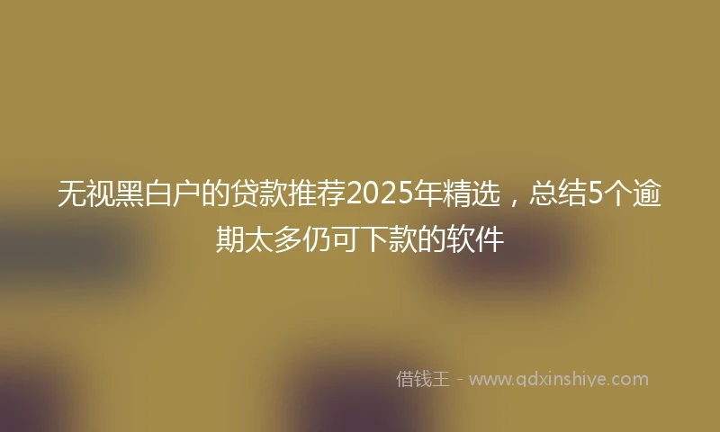 无视黑白户的贷款推荐2025年精选，总结5个逾期太多仍可下款的软件