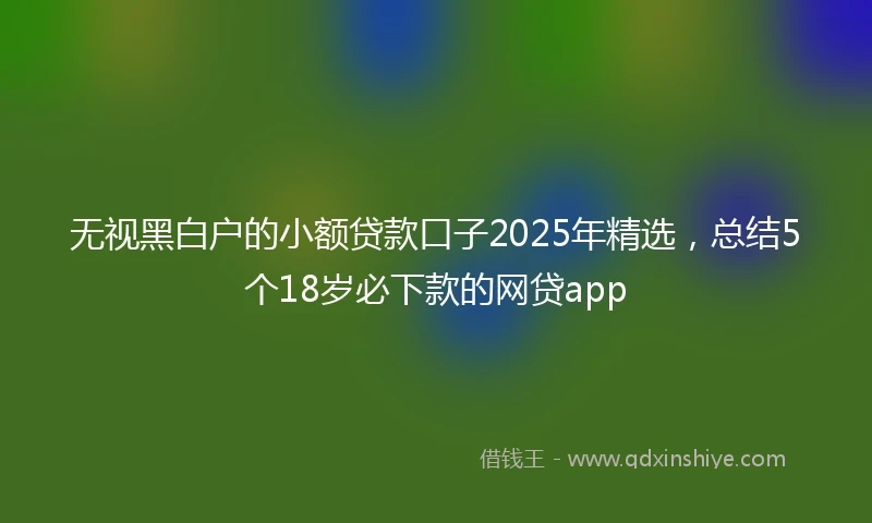 无视黑白户的小额贷款口子2025年精选，总结5个18岁必下款的网贷app