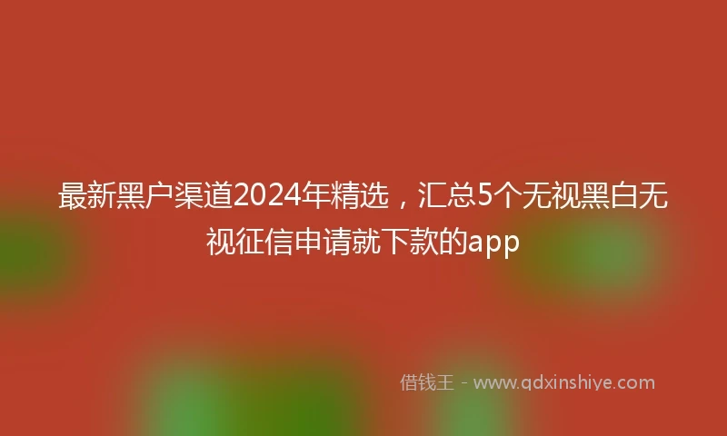 最新黑户渠道2024年精选，汇总5个无视黑白无视征信申请就下款的app