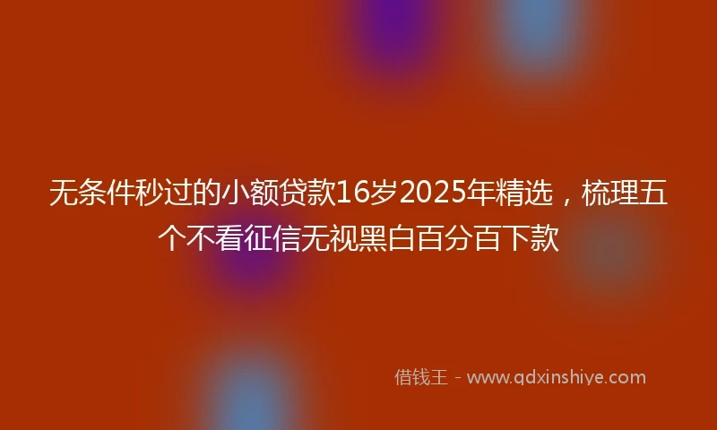 无条件秒过的小额贷款16岁2025年精选，梳理五个不看征信无视黑白百分百下款