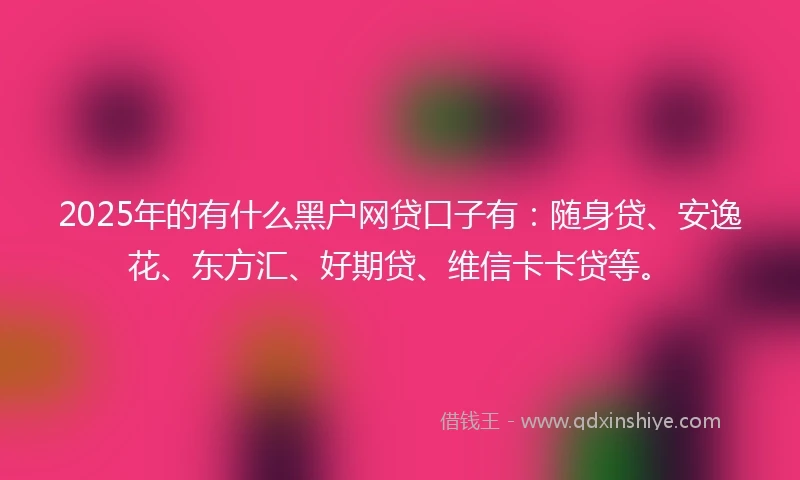 2025年的有什么黑户网贷口子有：随身贷、安逸花、东方汇、好期贷、维信卡卡贷等。