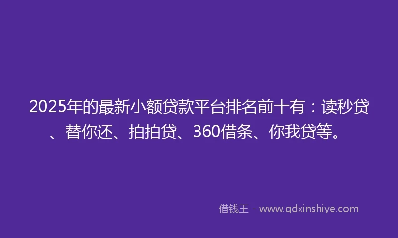 2025年的最新小额贷款平台排名前十有：读秒贷、替你还、拍拍贷、360借条、你我贷等。