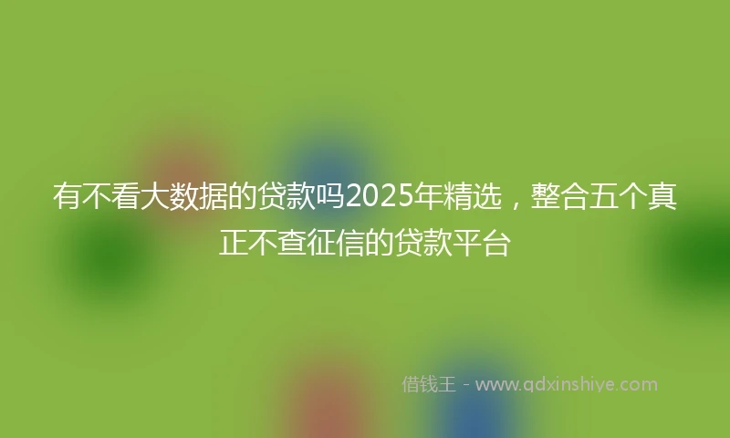 有不看大数据的贷款吗2025年精选,整合五个真正不查征信的贷款平台