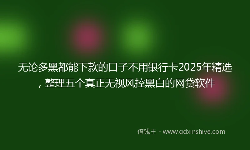 无论多黑都能下款的口子不用银行卡2025年精选,整理五个真正无视风控黑白的网贷软件