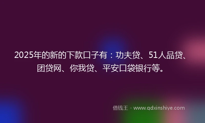 2025年的新的下款口子有：功夫贷、51人品贷、团贷网、你我贷、平安口袋银行等。