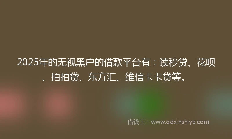 2025年的无视黑户的借款平台有：读秒贷、花呗、拍拍贷、东方汇、维信卡卡贷等。