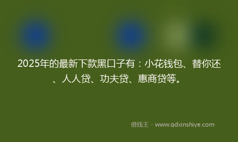 2025年的最新下款黑口子有：小花钱包、替你还、人人贷、功夫贷、惠商贷等。
