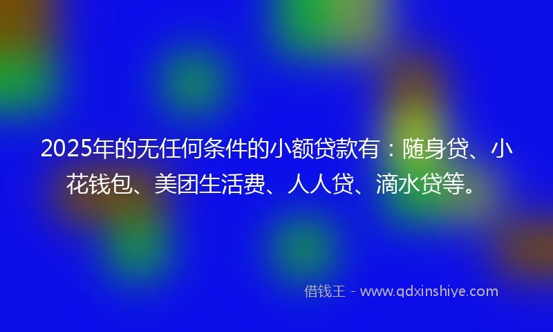 2025年的无任何条件的小额贷款有：随身贷、小花钱包、美团生活费、人人贷、滴水贷等。