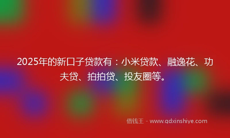 2025年的新口子贷款有：小米贷款、融逸花、功夫贷、拍拍贷、投友圈等。