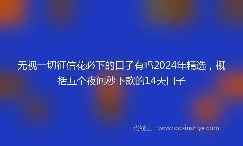 无视一切征信花必下的口子有吗2024年精选，概括五个夜间秒下款的14天口子