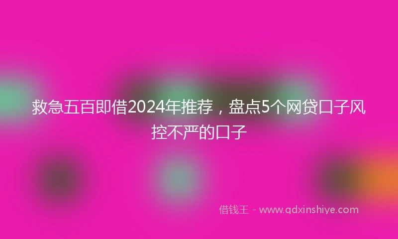 救急五百即借2024年推荐，盘点5个网贷口子风控不严的口子