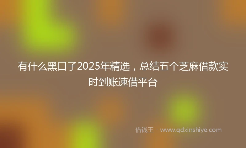 有什么黑口子2025年精选，总结五个芝麻借款实时到账速借平台