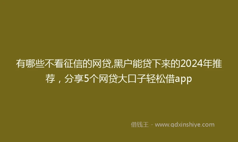 有哪些不看征信的网贷,黑户能贷下来的2024年推荐，分享5个网贷大口子轻松借app