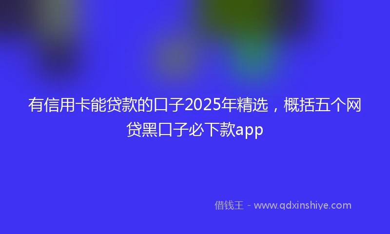 有信用卡能贷款的口子2025年精选，概括五个网贷黑口子必下款app
