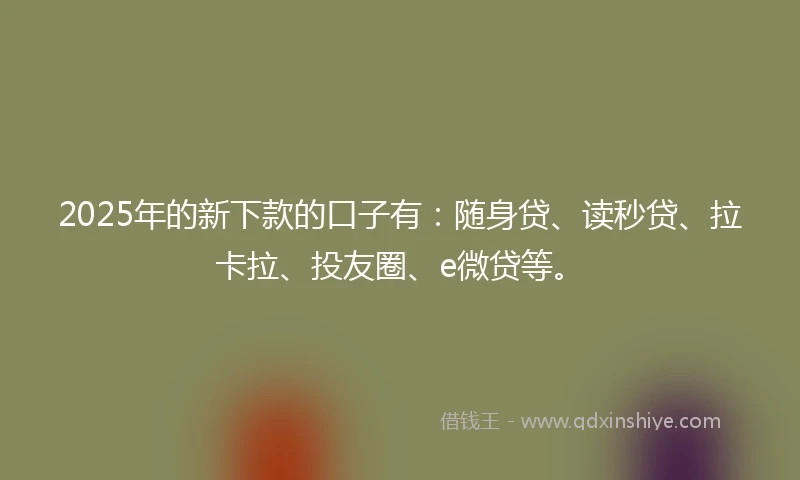 2025年的新下款的口子有：随身贷、读秒贷、拉卡拉、投友圈、e微贷等。