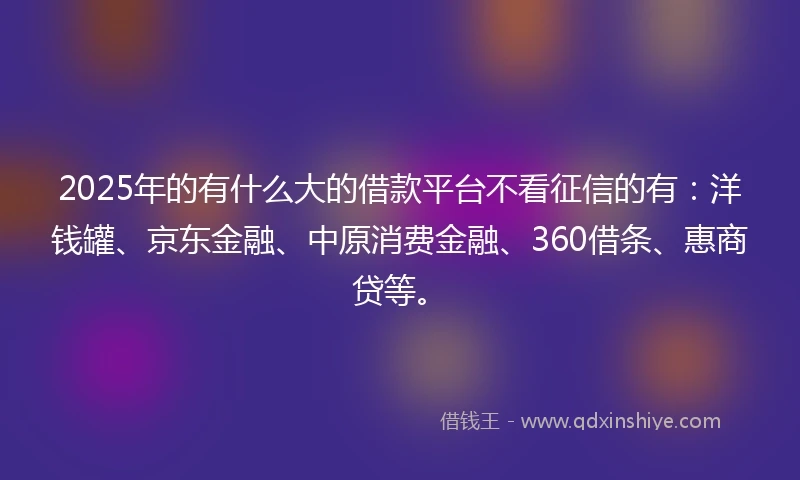 2025年的有什么大的借款平台不看征信的有：洋钱罐、京东金融、中原消费金融、360借条、惠商贷等。