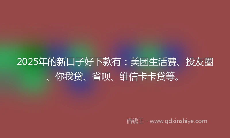 2025年的新口子好下款有：美团生活费、投友圈、你我贷、省呗、维信卡卡贷等。