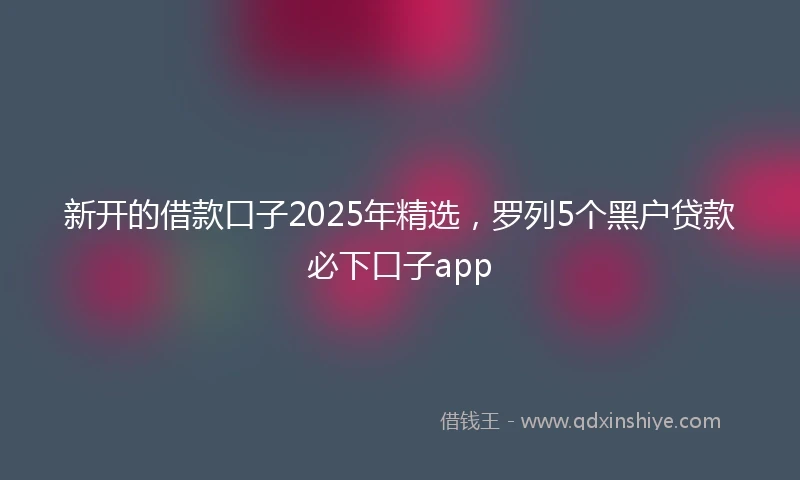 新开的借款口子2025年精选，罗列5个黑户贷款必下口子app