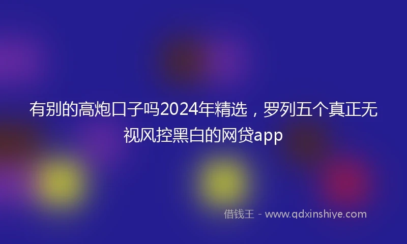 有别的高炮口子吗2024年精选，罗列五个真正无视风控黑白的网贷app