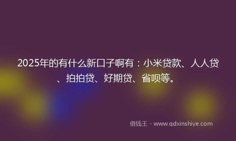 2025年的有什么新口子啊有：小米贷款、人人贷、拍拍贷、好期贷、省呗等。