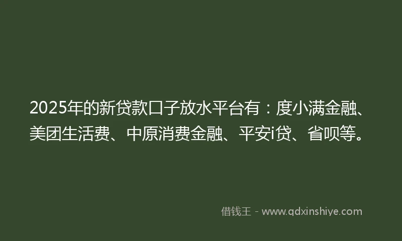 2025年的新贷款口子放水平台有：度小满金融、美团生活费、中原消费金融、平安i贷、省呗等。