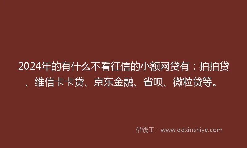 2024年的有什么不看征信的小额网贷有:拍拍贷、维信卡卡贷、京东金融、省呗、微粒贷等。