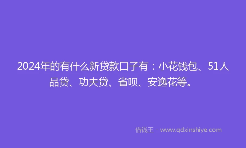 2024年的有什么新贷款口子有：小花钱包、51人品贷、功夫贷、省呗、安逸花等。