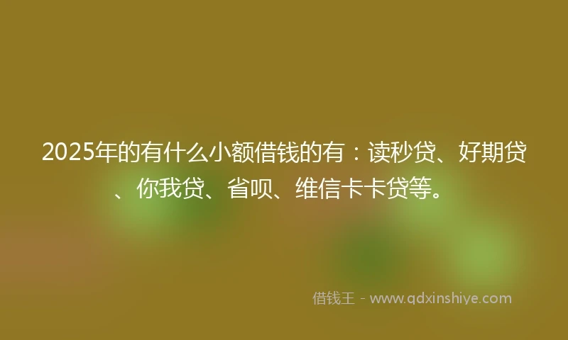 2025年的有什么小额借钱的有：读秒贷、好期贷、你我贷、省呗、维信卡卡贷等。