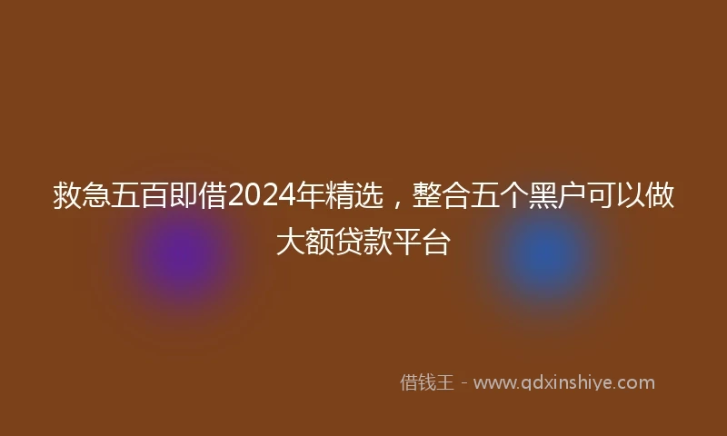 救急五百即借2024年精选,整合五个黑户可以做大额贷款平台