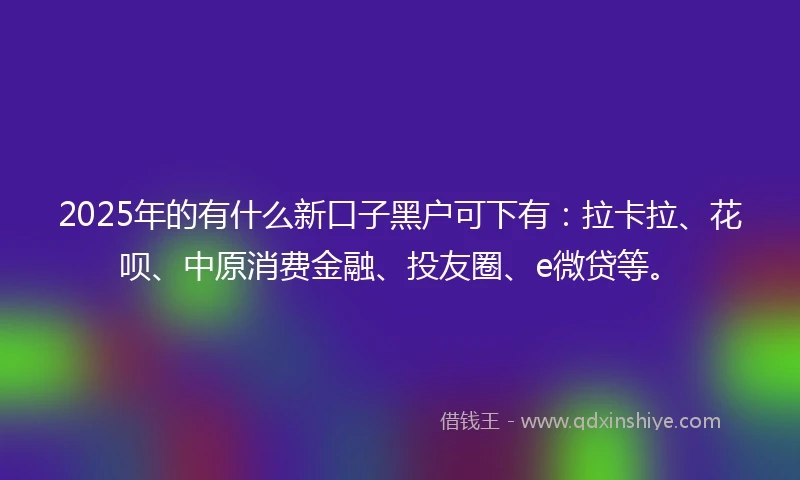 2025年的有什么新口子黑户可下有：拉卡拉、花呗、中原消费金融、投友圈、e微贷等。