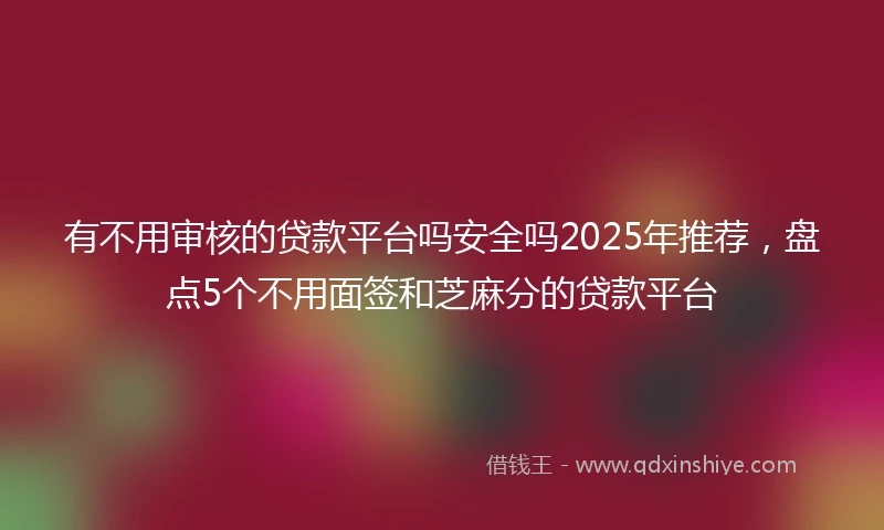 有不用审核的贷款平台吗安全吗2025年推荐，盘点5个不用面签和芝麻分的贷款平台
