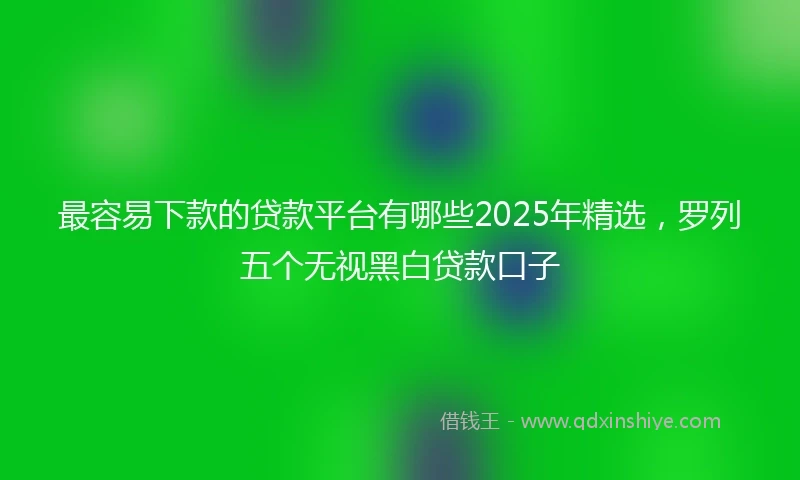 最容易下款的贷款平台有哪些2025年精选，罗列五个无视黑白贷款口子