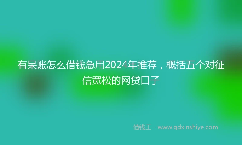 有呆账怎么借钱急用2024年推荐，概括五个对征信宽松的网贷口子