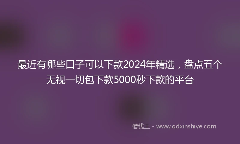 最近有哪些口子可以下款2024年精选，盘点五个无视一切包下款5000秒下款的平台