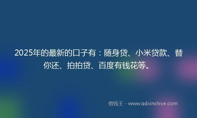 2025年的最新的口子有：随身贷、小米贷款、替你还、拍拍贷、百度有钱花等。