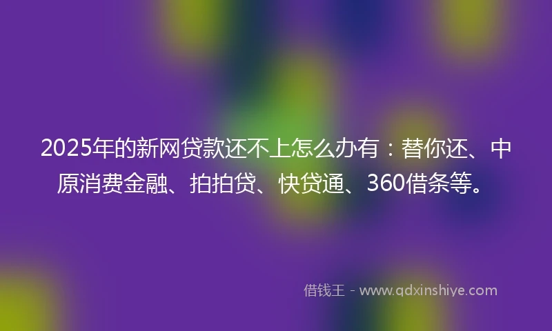 2025年的新网贷款还不上怎么办有：替你还、中原消费金融、拍拍贷、快贷通、360借条等。