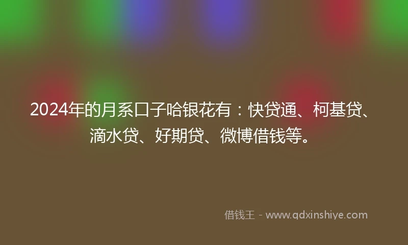 2024年的月系口子哈银花有：快贷通、柯基贷、滴水贷、好期贷、微博借钱等。