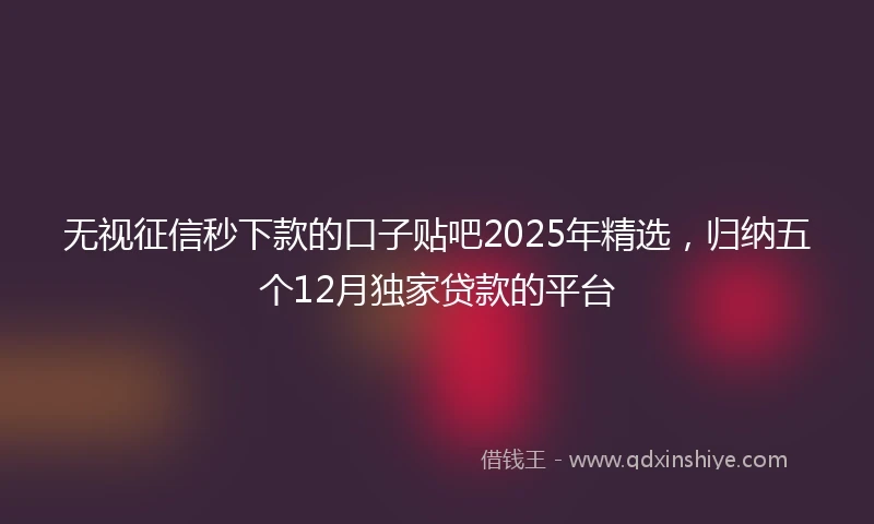 无视征信秒下款的口子贴吧2025年精选,归纳五个12月独家贷款的平台