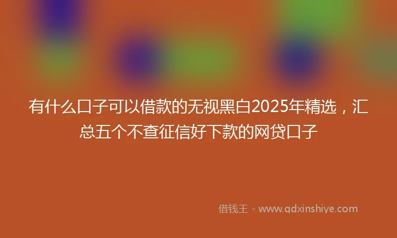 有什么口子可以借款的无视黑白2025年精选，汇总五个不查征信好下款的网贷口子