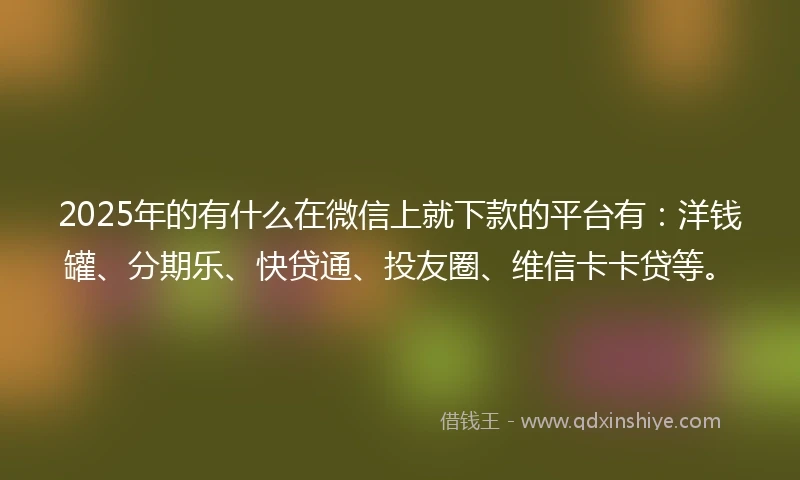 2025年的有什么在微信上就下款的平台有：洋钱罐、分期乐、快贷通、投友圈、维信卡卡贷等。