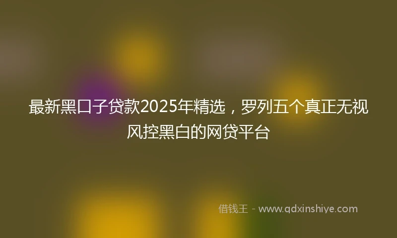 最新黑口子贷款2025年精选，罗列五个真正无视风控黑白的网贷平台