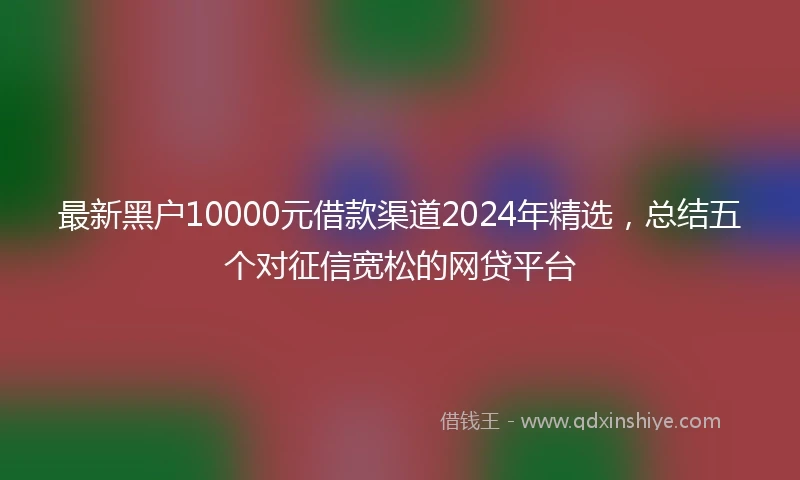 最新黑户10000元借款渠道2024年精选，总结五个对征信宽松的网贷平台
