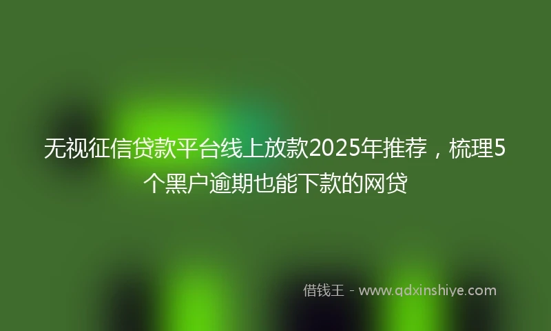 无视征信贷款平台线上放款2025年推荐，梳理5个黑户逾期也能下款的网贷