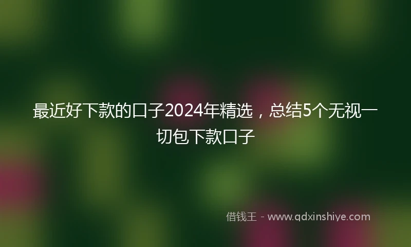 最近好下款的口子2024年精选，总结5个无视一切包下款口子
